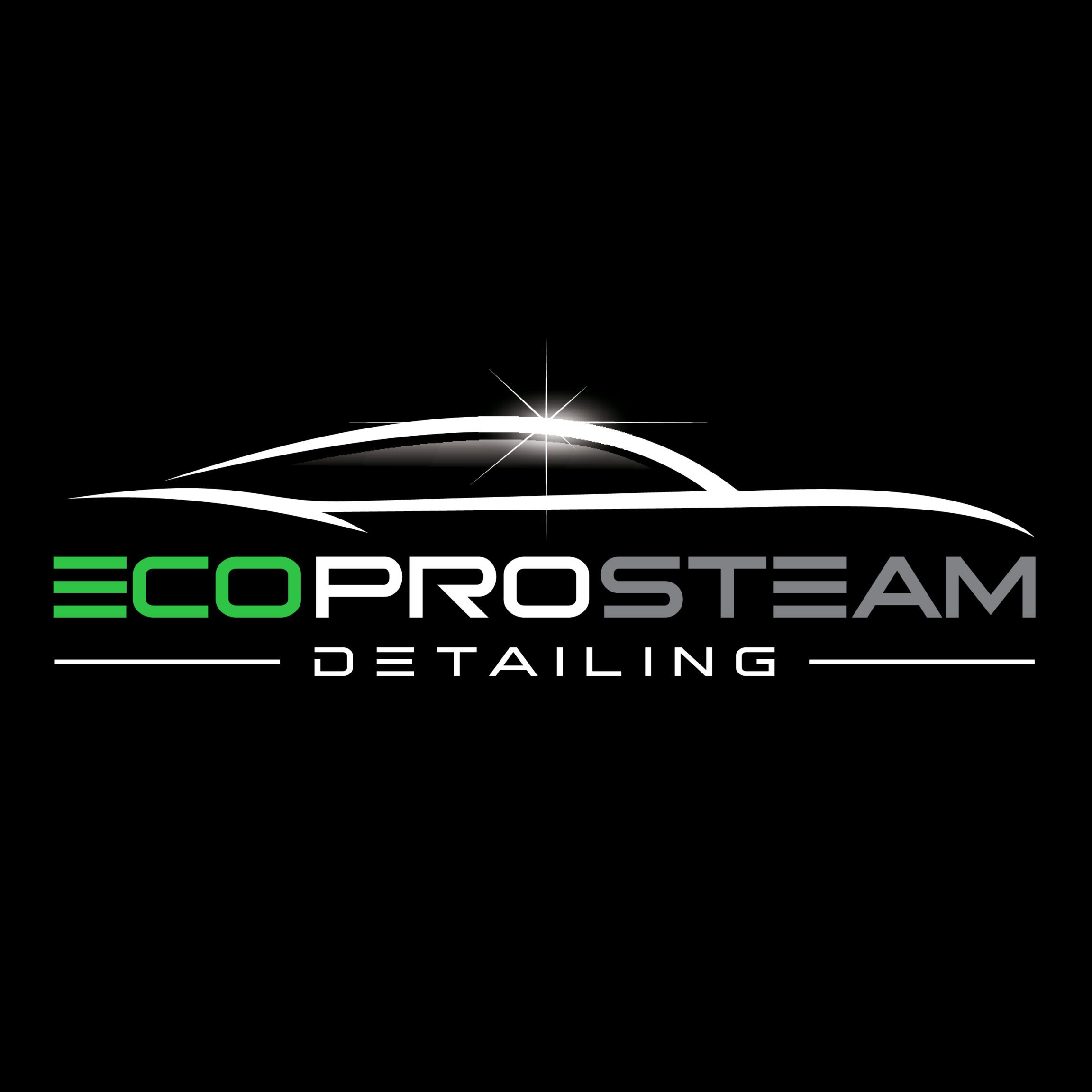 eco pro auto detailing
