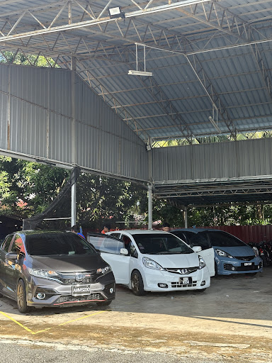 Cuci Bear