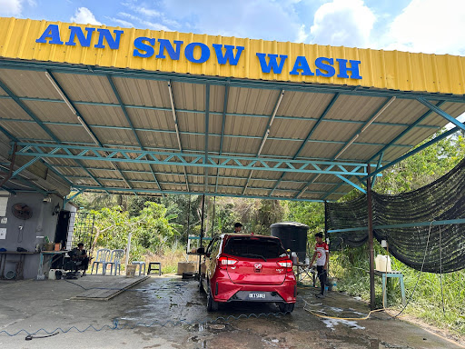 ANN SNOW WASH ANN SNOW WASH
