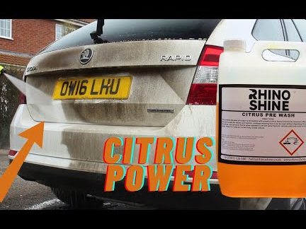 RHINO SHINES Car Wash 1 rhino shines car wash